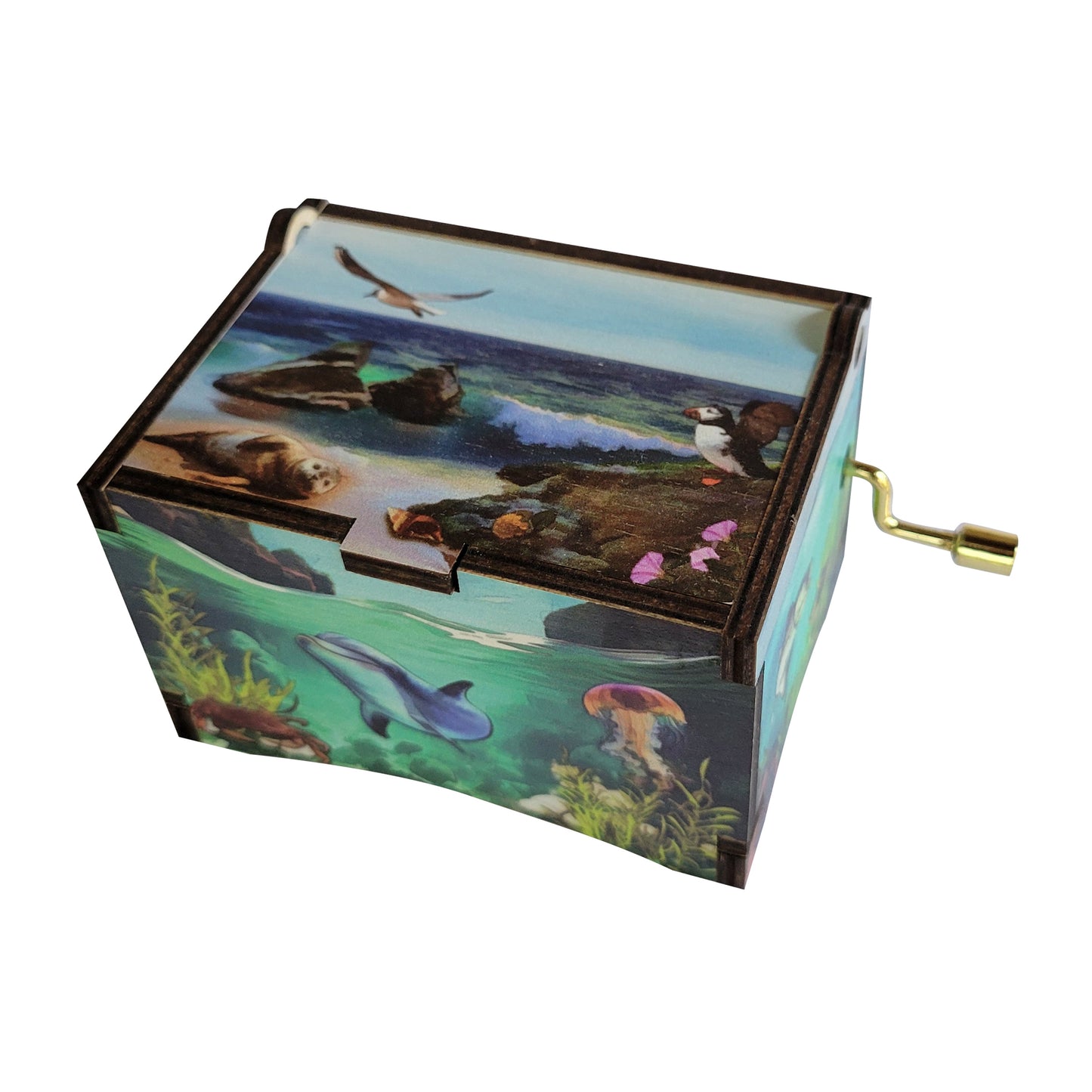 Ocean's Parade Music Box