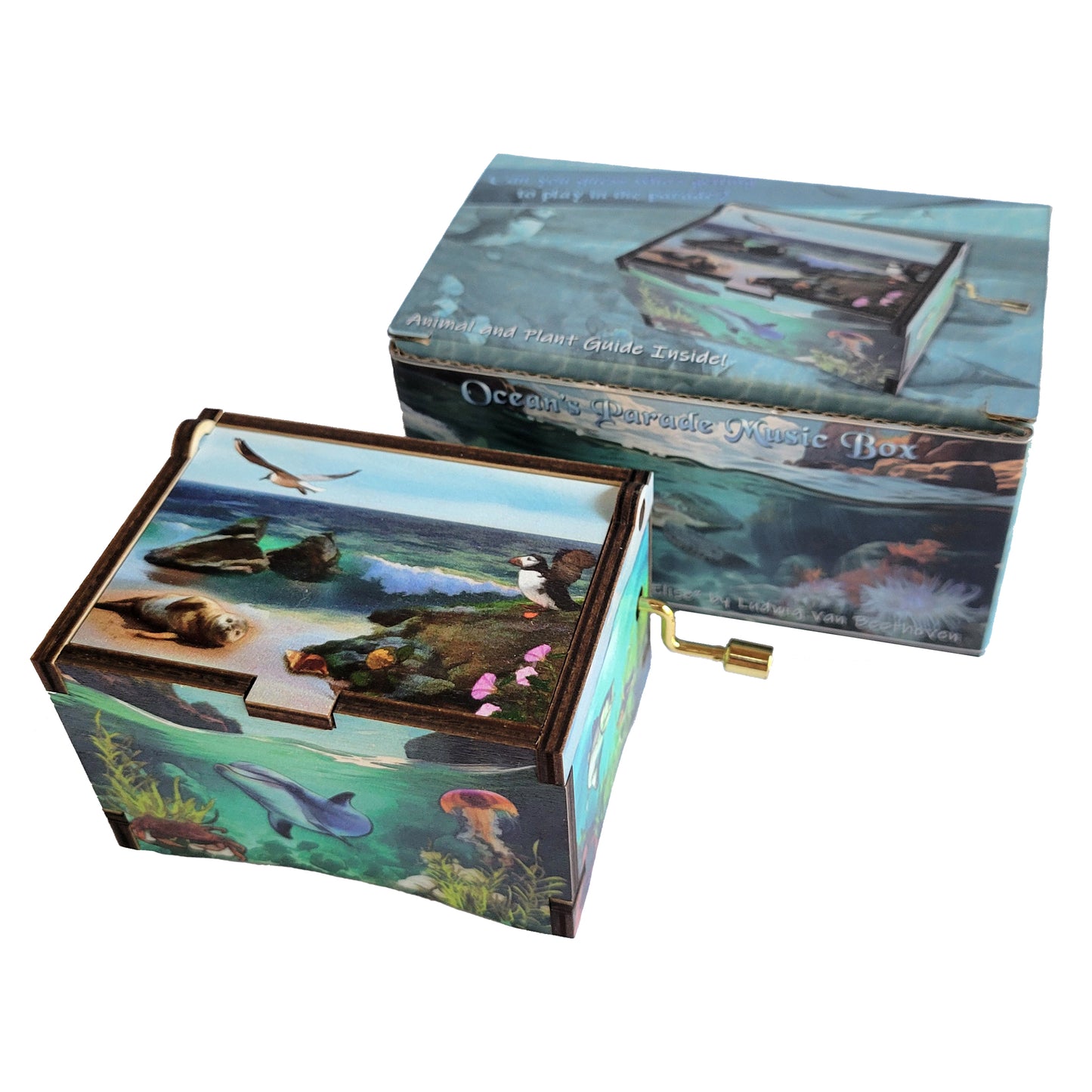 Ocean’s Parade Music Box plays song "Fur Elise", Gifts for Women, Men, Birthday, Christmas, Mother’s Day, Anniversary