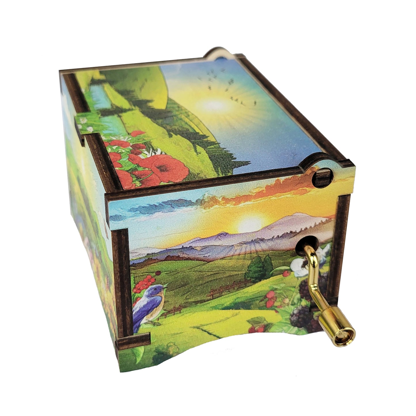 Sunshine Music Box